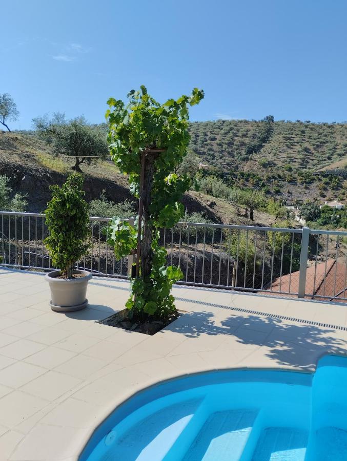 Villa Las Vinas Málaga Exterior foto